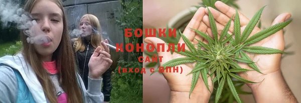 соль ск Богородицк
