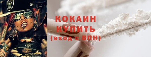 ECSTASY Богданович