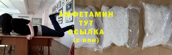 ECSTASY Богданович