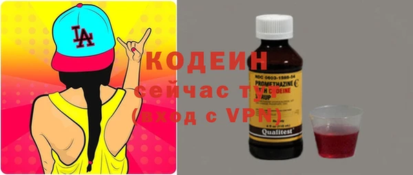соль ск Богородицк