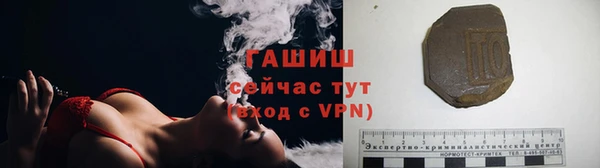 ECSTASY Богданович